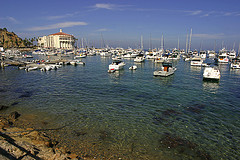 Photo by Aaron Logan / CC BY